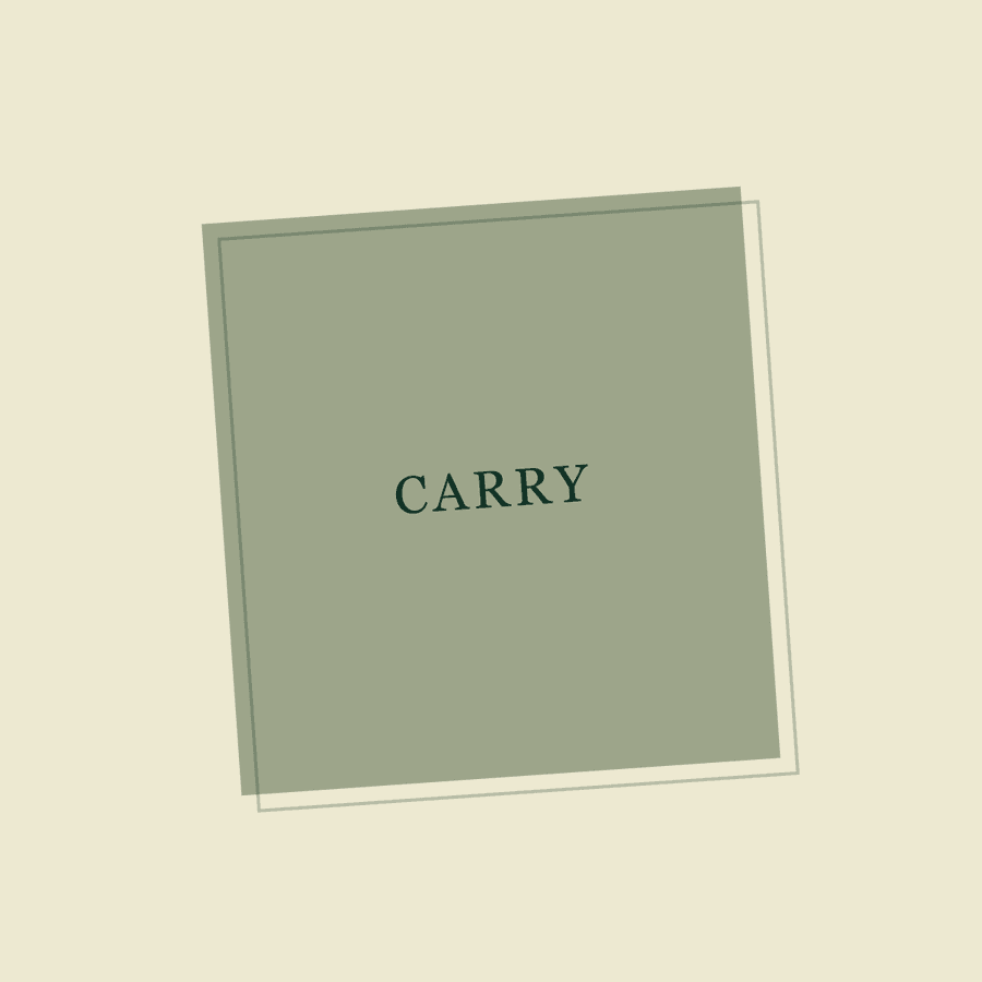 Carry the Chaos