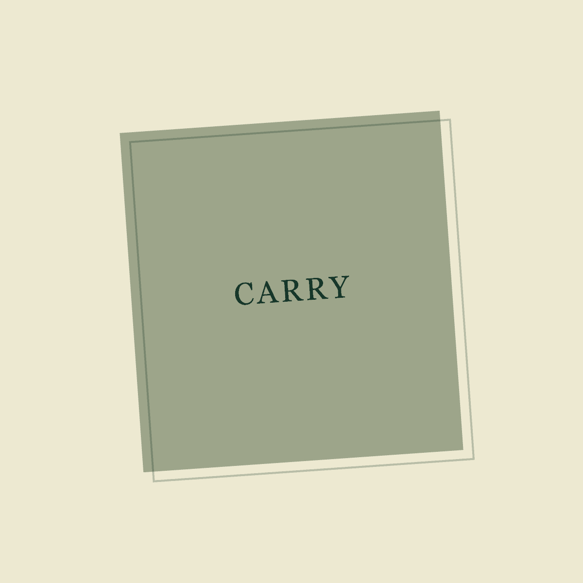 Carry the Chaos