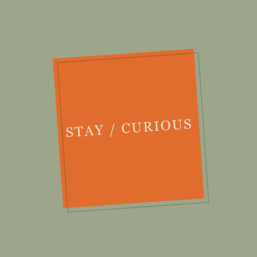 Stay / Curious